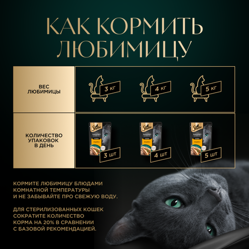 Корм консервированный для кошек SHEBA Нежный паштет в желе Индейка, 75г, вид
