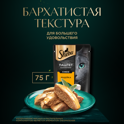 Корм консервированный для кошек SHEBA Нежный паштет в желе Индейка, 75г, фотография