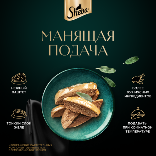 Корм консервированный для кошек SHEBA Нежный паштет в желе Индейка, 75г, крупный план
