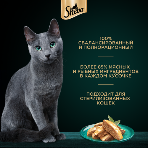 Корм консервированный для кошек SHEBA Нежный паштет в желе Лосось, 75г, картинка