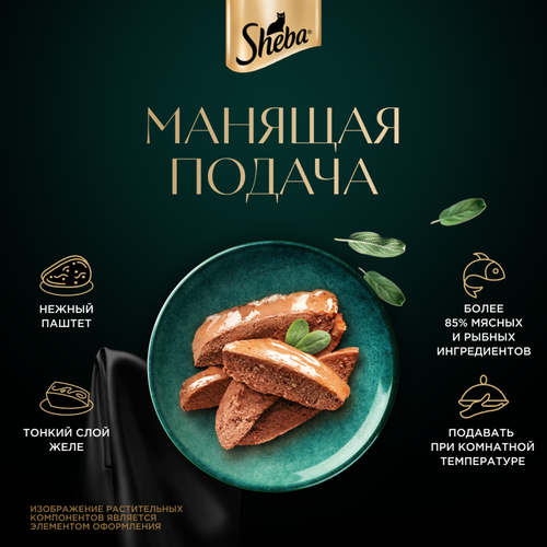 Корм консервированный для кошек SHEBA Нежный паштет в желе Лосось, 75г, детальное фото