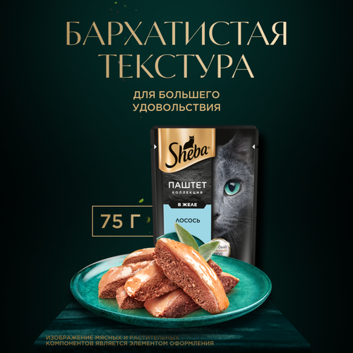 Корм консервированный для кошек SHEBA Нежный паштет в желе Лосось, 75г, крупный план