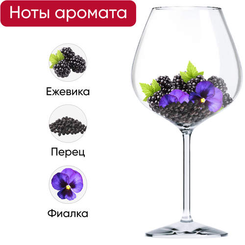 Вино MAISON VENTENAC LES ALIZIES SYRAH Пэй д'Ок сортовое ординарное красное сухое, 0.75л, фотография