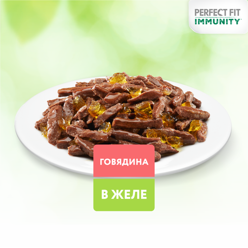 Корм консервированный для взрослых кошек PERFECT FIT Иммунитет с говядиной в желе с добавлением льна, 75г, крупный план