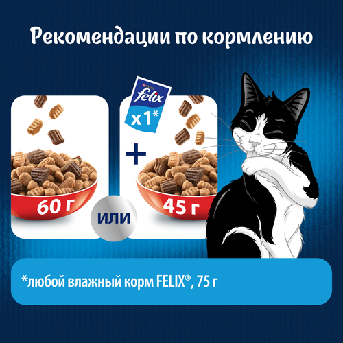 Корм сухой для кошек FELIX Двойная вкуснятина с говядиной, 10кг, изображение