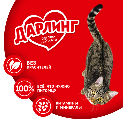 Корм влажный для взрослых кошек ДАРЛИНГ Говядина в подливе, 75г, изображение