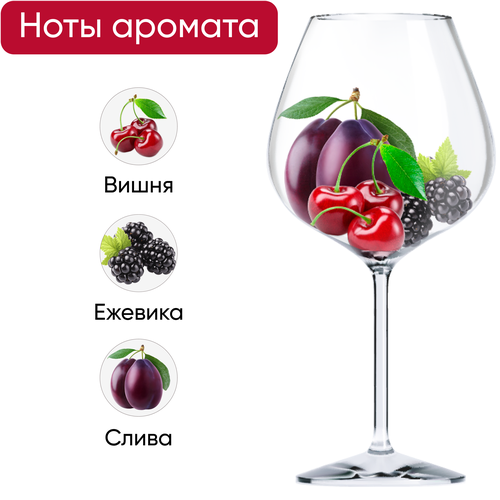 Вино STRANAMENTE ординарное красное полусухое, 0.75л, фото