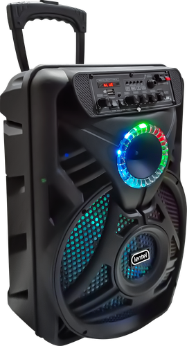 Акустическая система LENTEL, Арт. C-TWE129, вид