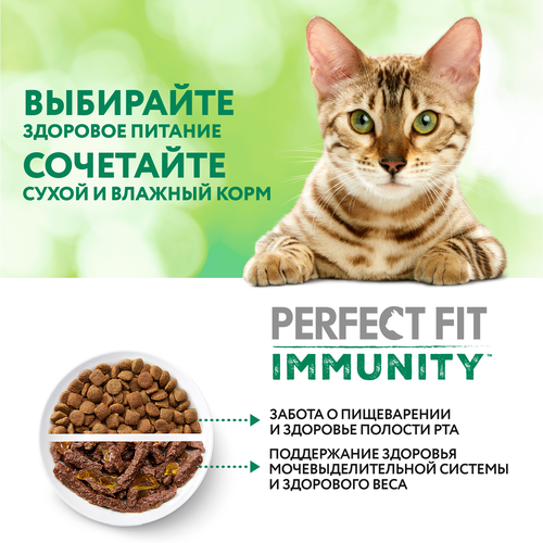 Корм сухой для кошек PERFECT FIT Immunity Говядина, семяна льна, голубика, 580г, фотография