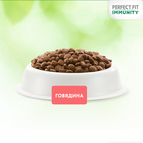 Корм сухой для кошек PERFECT FIT Immunity Говядина, семяна льна, голубика, 580г, фотография