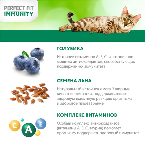 Корм сухой для кошек PERFECT FIT Immunity Говядина, семяна льна, голубика, 580г, изображение