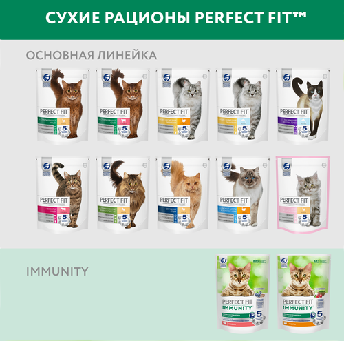 Корм сухой для кошек PERFECT FIT Immunity Говядина, семяна льна, голубика, 580г, фотография