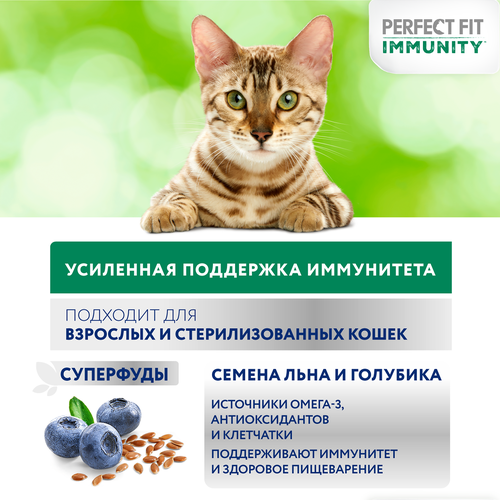 Корм сухой для кошек PERFECT FIT Immunity Говядина, семяна льна, голубика, 580г, фотография