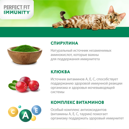 Корм сухой для кошек PERFECT FIT Иммунитет с индейкой и добавлением спирулины и клюквы, 580г, фотография