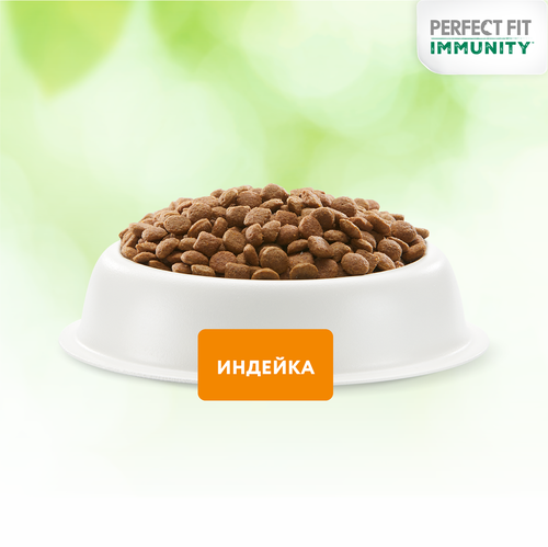 Корм сухой для кошек PERFECT FIT Иммунитет с индейкой и добавлением спирулины и клюквы, 580г, детальное фото