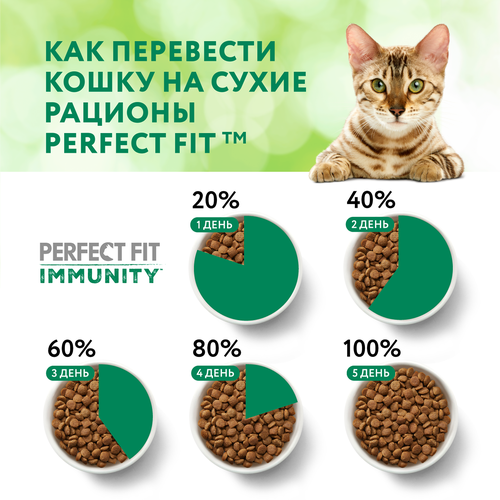 Корм сухой для кошек PERFECT FIT Иммунитет с индейкой и добавлением спирулины и клюквы, 580г, картинка
