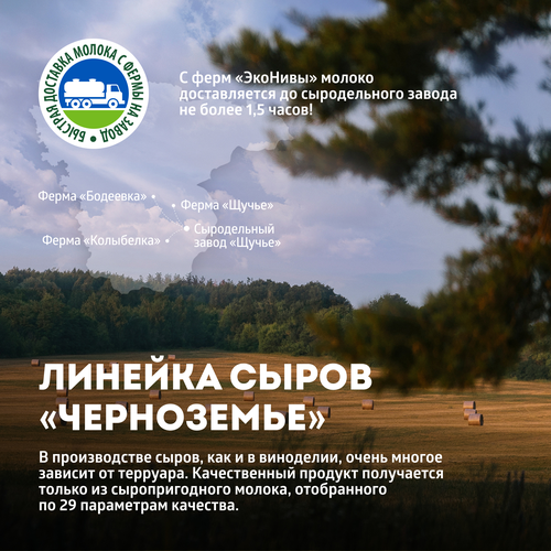 Сыр полутвердый ЭКОНИВА Щучанский 50%, без змж, 200г, крупный план
