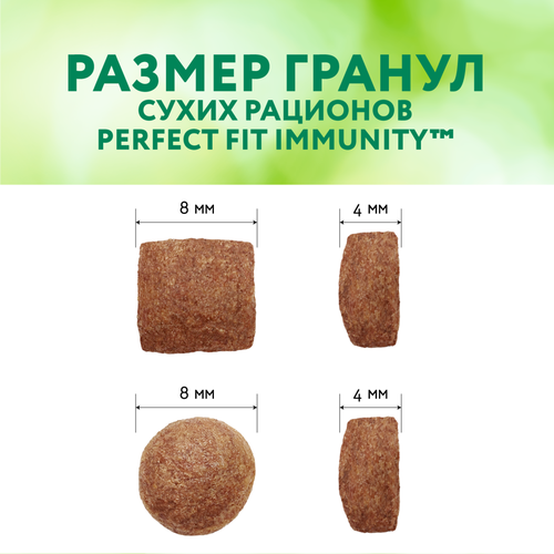 Корм сухой для взрослых кошек PERFECT FIT Иммунитет с говядиной и добавлением семян льна и голубики, 1,1кг, картинка