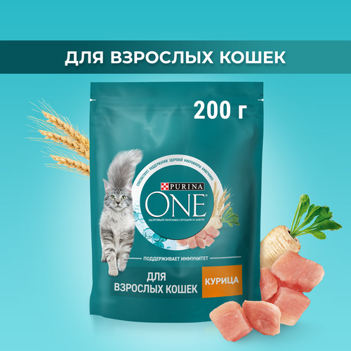 Корм сухой для взрослых кошек PURINA ONE Курица, 200г, крупный план