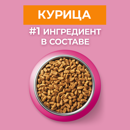 Корм сухой для котят PURINA ONE Курица, 200г, крупный план