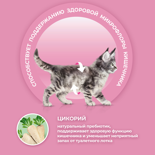 Корм сухой для котят PURINA ONE Курица, 200г, детальное фото