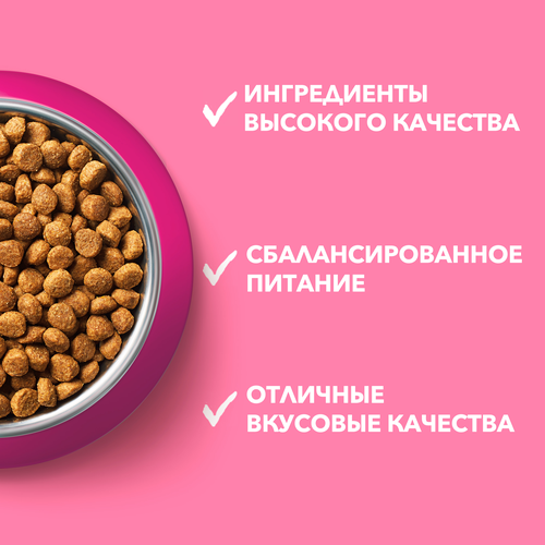 Корм сухой для котят PURINA ONE Курица, 200г, детальное фото