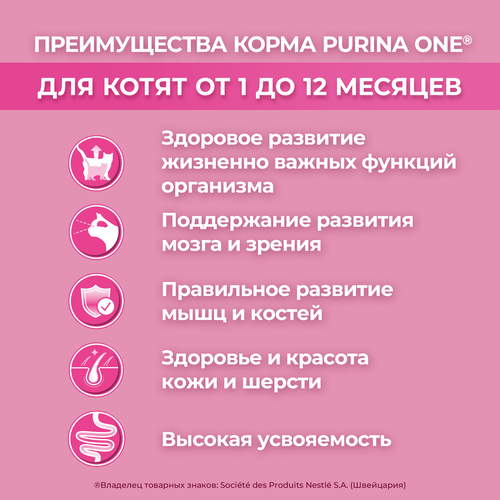 Корм сухой для котят PURINA ONE Курица, 200г, крупный план