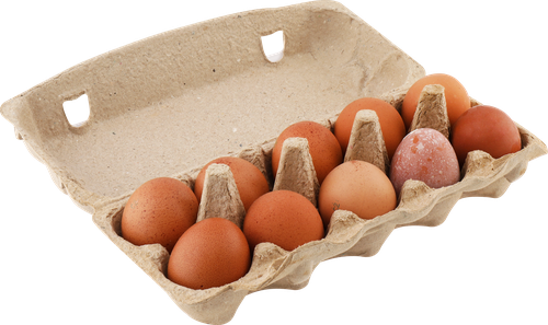 Яйцо куриное ЛЕНТА FRESH С2, 10шт, вид