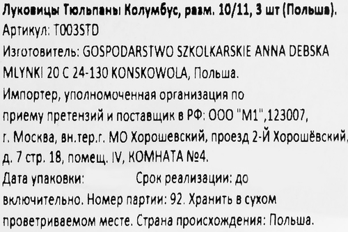 Луковицы Тюльпан Колумбус 10/11, Арт.T003STD, 8шт, фотография