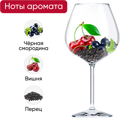 Вино ISASA Риоха сортовое красное сухое, 0.75л, вид
