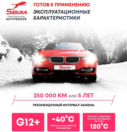 Антифриз SIBIRIA Antifreeze G12+, 1кг, крупный план