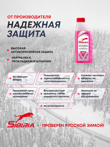 Антифриз SIBIRIA Antifreeze G12+, 1кг, картинка