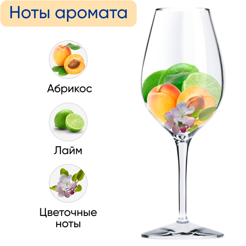 Вино игристое BRUNI Asti белое сладкое, 0.75л, вид