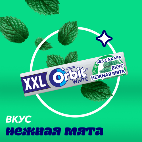 Жевательная резинка ORBIT XXL Нежная мята, вид