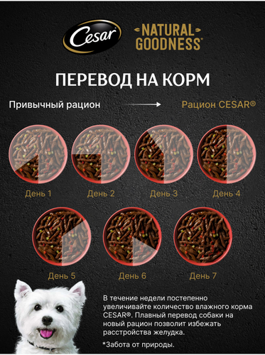 Корм влажный для взрослых собак CESAR Натуральное меню с говядиной, паприкой и шпинатом в соусе, 80г, вид