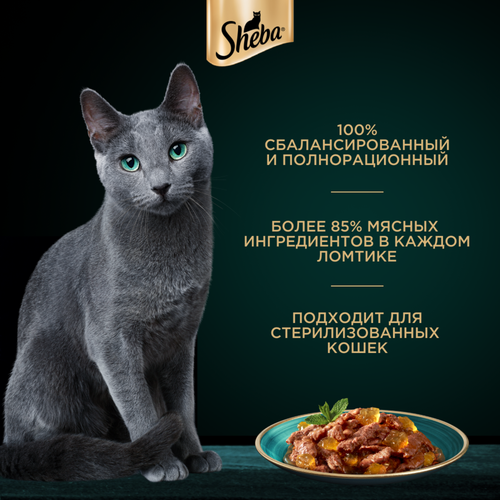 Корм влажный для взрослых кошек SHEBA Ломтики в желе с форелью, 75г, фотография