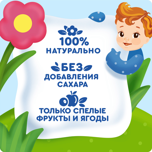Пюре фруктово-ягодное детское АГУША Яблоко, вишня и черника, с 5 месяцев, 100г, крупный план