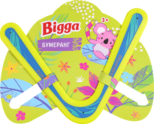 Бумеранг BIGGA, Арт. ZH260669, картинка