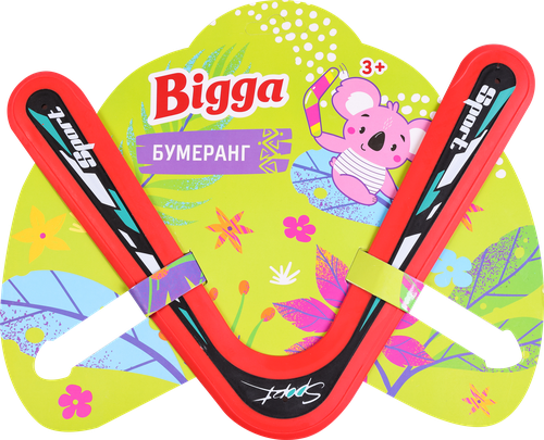 Бумеранг BIGGA, Арт. ZH260669, картинка