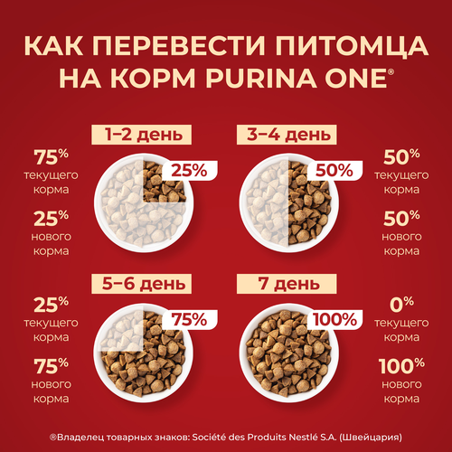 Корм сухой для взрослых собак PURINA ONE мелких и карликовых пород, с высоким содержанием говядины и с рисом, 3кг, изображение
