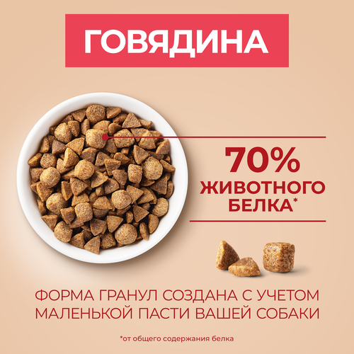 Корм сухой для взрослых собак PURINA ONE мелких и карликовых пород, с высоким содержанием говядины и с рисом, 3кг, изображение