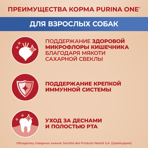Корм сухой для взрослых собак PURINA ONE мелких и карликовых пород, с высоким содержанием говядины и с рисом, 3кг, фотография
