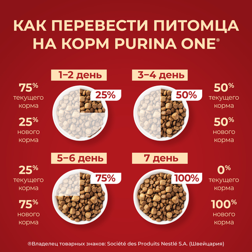 Корм сухой для собак PURINA ONE Мини, для мелких пород с активным образом жизни, с высоким содержанием курицы и с рисом, 3кг, картинка
