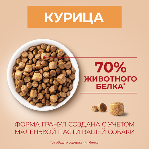 Корм сухой для собак PURINA ONE Мини, для мелких пород с активным образом жизни, с высоким содержанием курицы и с рисом, 3кг, изображение
