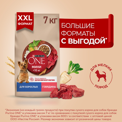Корм сухой для собак PURINA ONE Мини, для мелких и карликовых пород, с высоким содержанием говядины и с рисом, 7кг, фото