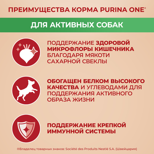 Корм сухой для собак PURINA ONE Мини, для мелких пород с активным образом жизни, с высоким содержанием курицы и с рисом, 7кг, детальное фото