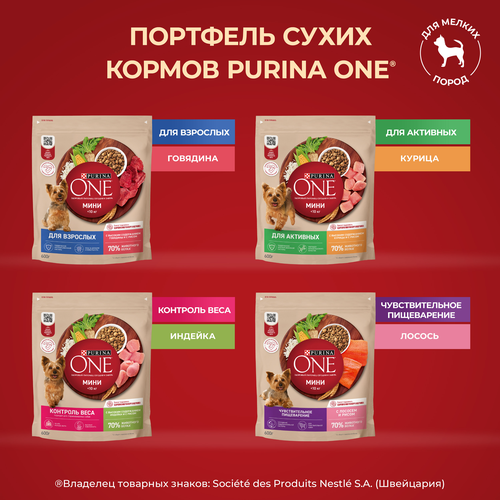 Корм сухой для собак PURINA ONE Мини, для мелких пород с активным образом жизни, с высоким содержанием курицы и с рисом, 7кг, фотография