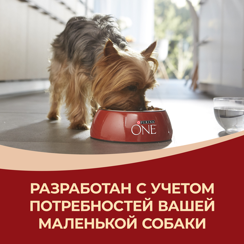 Корм сухой для собак PURINA ONE Мини, для мелких пород с активным образом жизни, с высоким содержанием курицы и с рисом, 7кг, фотография