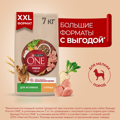 Корм сухой для собак PURINA ONE Мини, для мелких пород с активным образом жизни, с высоким содержанием курицы и с рисом, 7кг, крупный план