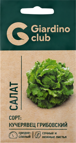 Семена GIARDINO CLUB Салат Кучерявец Грибовский, 0,5г, изображение